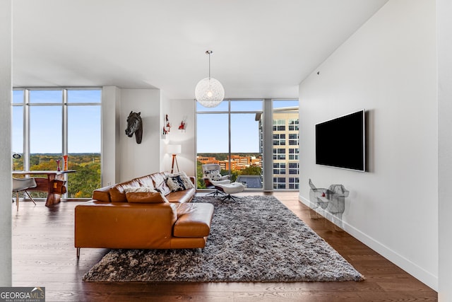 living room with dark hardwood / wood-style floors and expansive windows