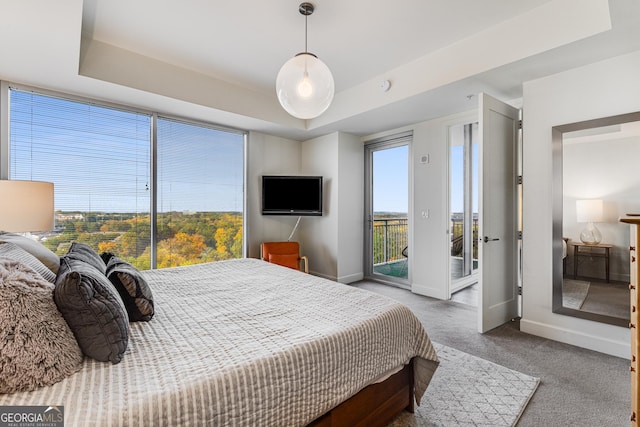 bedroom with a tray ceiling, carpet floors, access to outside, and multiple windows