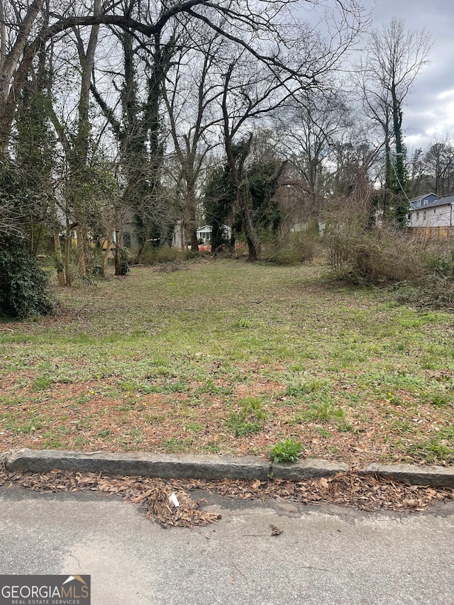 0 Plaza Ave SW, Atlanta GA, 30310 land for sale