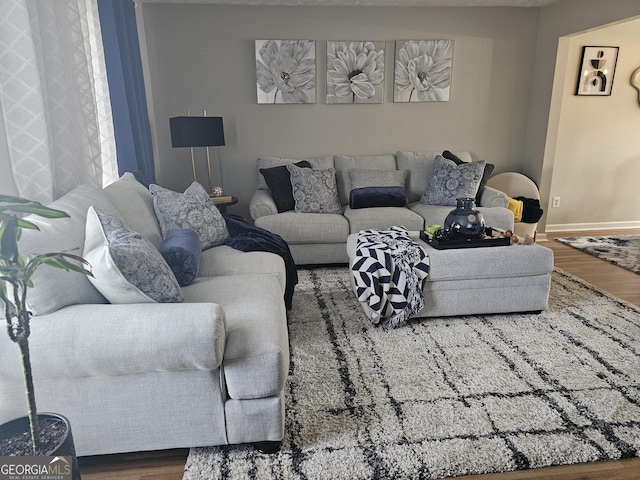 living room featuring hardwood / wood-style floors