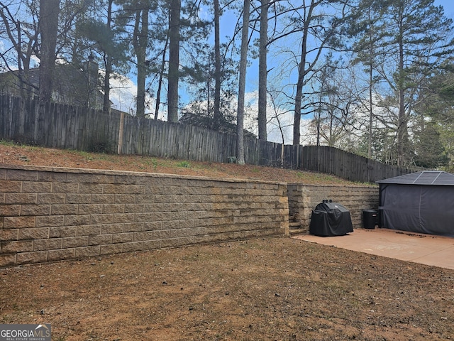 view of yard featuring a patio