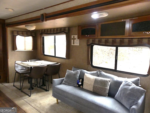 living room featuring wood-type flooring