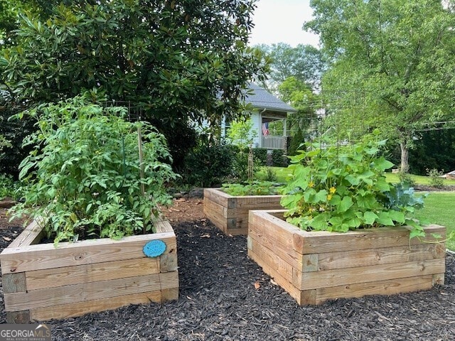 view of yard featuring a vegetable garden