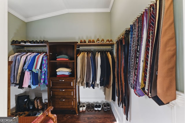 spacious closet with lofted ceiling and dark wood-type flooring