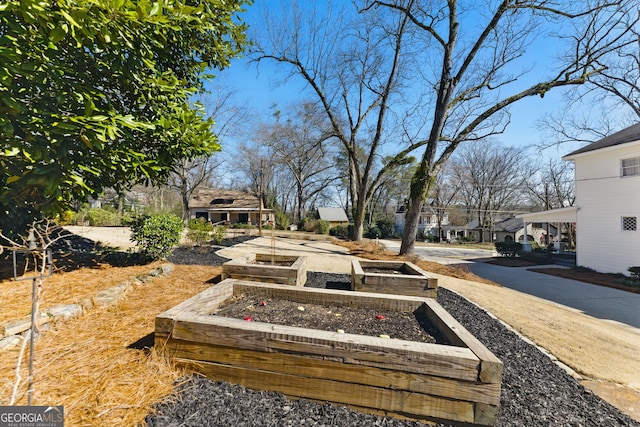 view of yard with an outbuilding and a garden