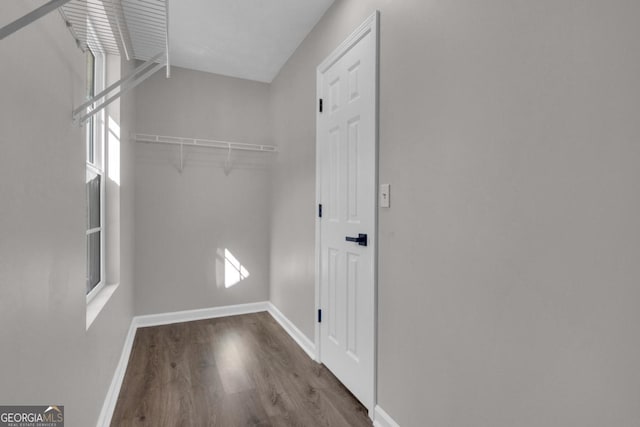 walk in closet with hardwood / wood-style flooring