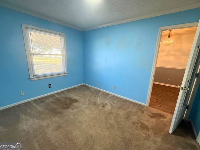 empty room with crown molding, a textured ceiling, and carpet