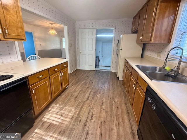 kitchen featuring pendant lighting, sink, dishwasher, electric range oven, and light hardwood / wood-style floors