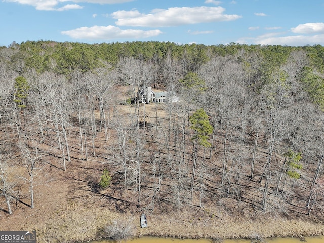 aerial view with a water view and a view of trees