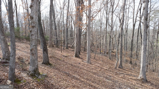 view of landscape