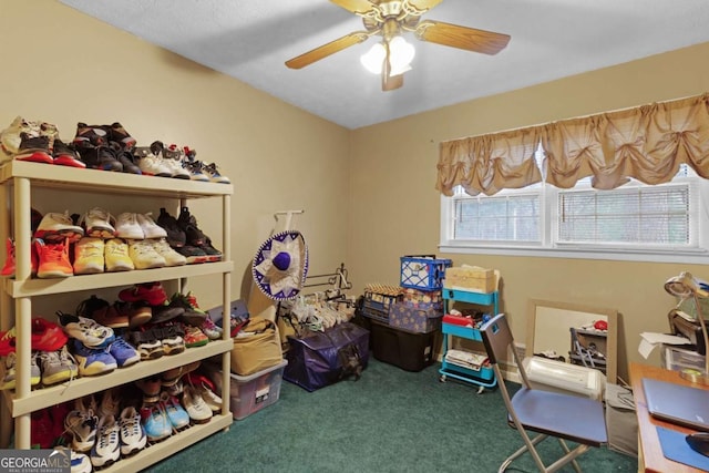 storage room featuring ceiling fan