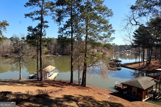 dock area featuring a water view