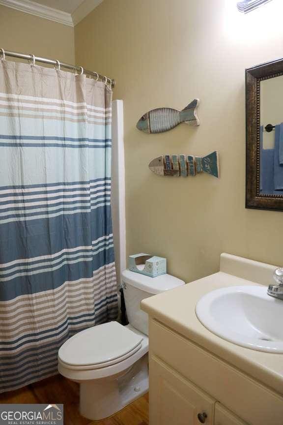 bathroom with vanity, crown molding, wood-type flooring, and toilet