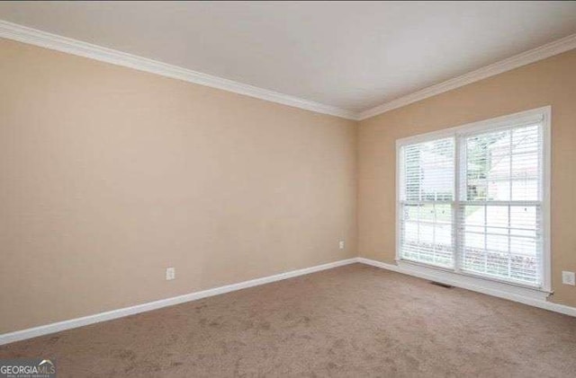 spare room with crown molding and carpet