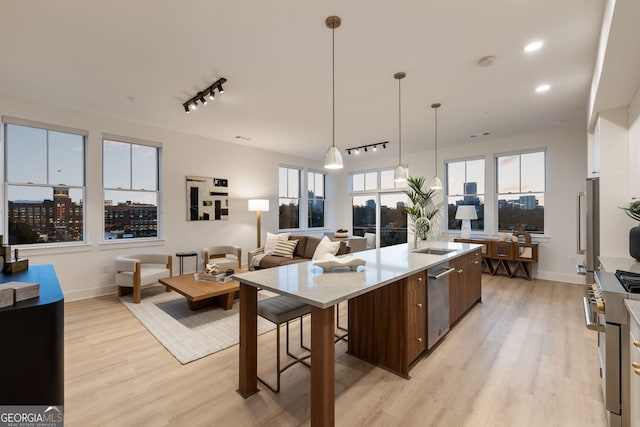 kitchen with modern cabinets, open floor plan, stainless steel appliances, a large island with sink, and light wood-style floors