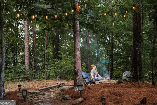 30 Cheyenne Trl, Blue Ridge, GA 30513 - view of yard