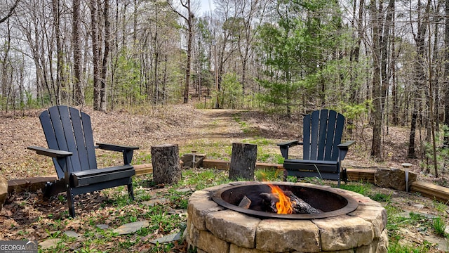30 Cheyenne Trl, Blue Ridge, GA 30513 - view of yard with a forest view and an outdoor fire pit