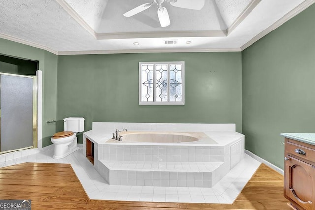 bathroom featuring a raised ceiling, visible vents, vanity, and a bath