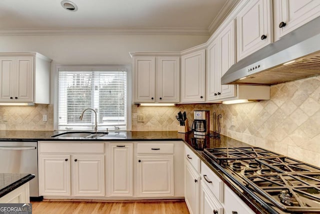 kitchen with stainless steel appliances, crown molding, under cabinet range hood, white cabinetry, and a sink