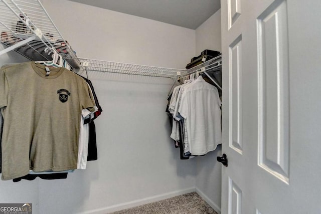 spacious closet featuring carpet