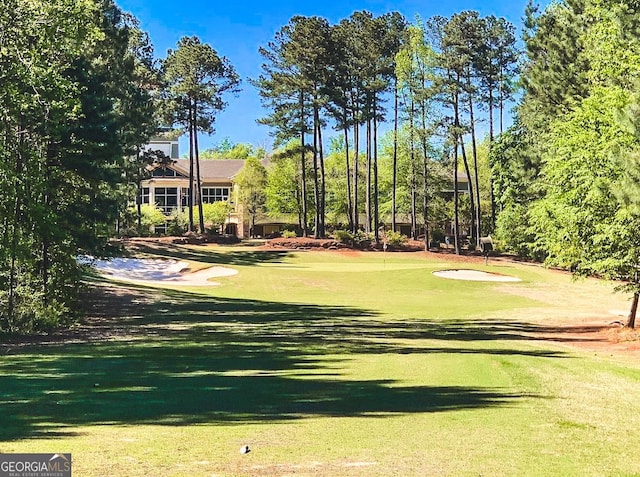 view of property's community with a yard