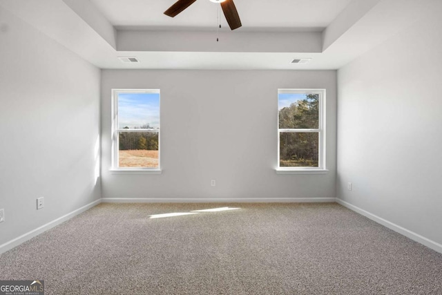 spare room with a raised ceiling, ceiling fan, and carpet