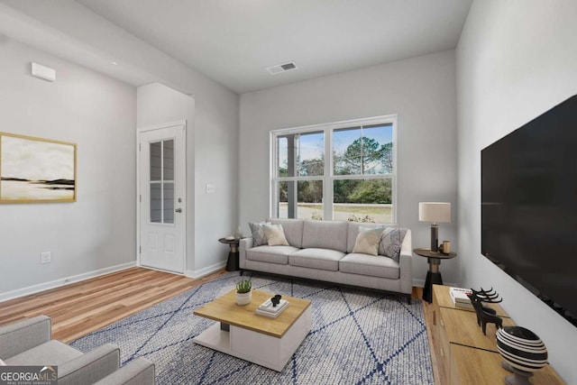 living room featuring wood-type flooring