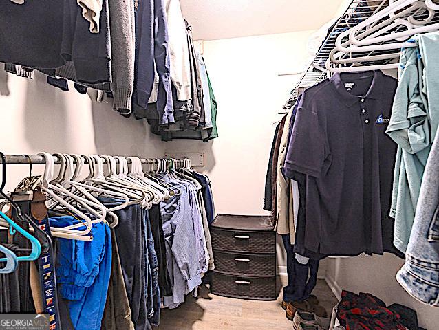 spacious closet featuring wood-type flooring