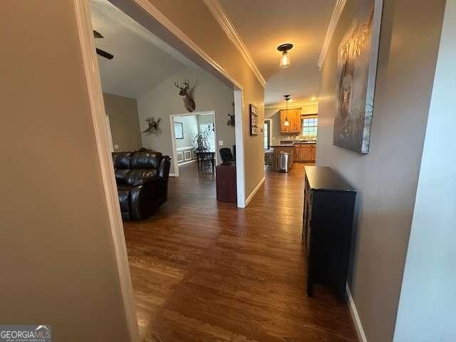 corridor with crown molding and dark wood-type flooring