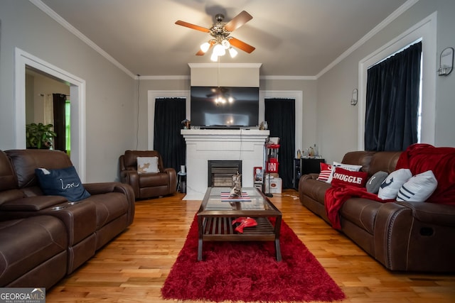 living room with ceiling fan, ornamental molding, and light wood-type flooring