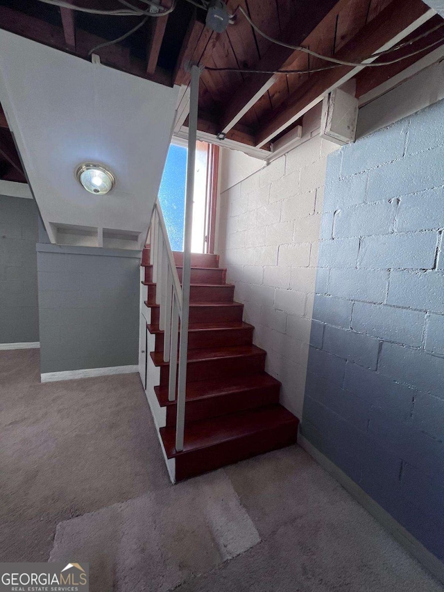 stairway with carpet floors