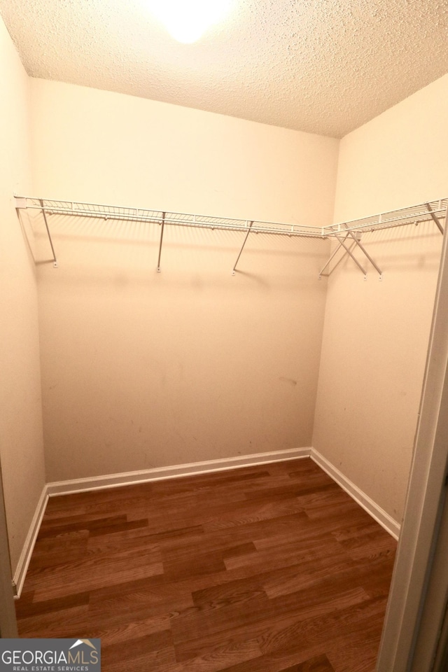 walk in closet featuring dark hardwood / wood-style flooring