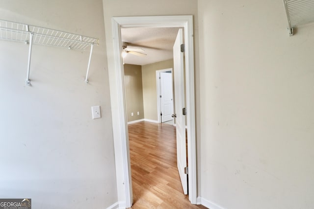 corridor featuring light wood-type flooring