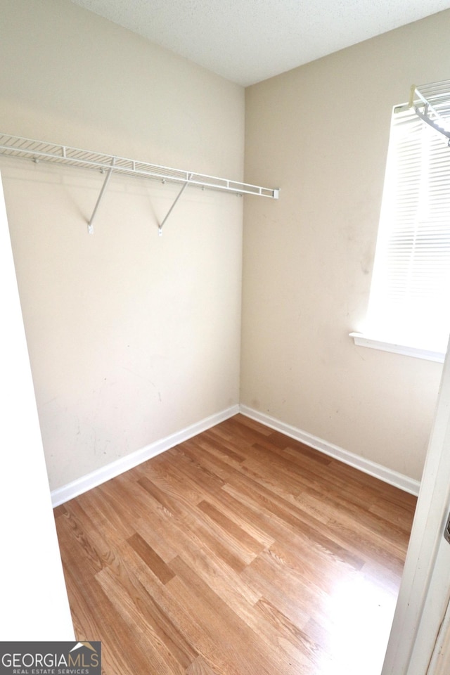 walk in closet with hardwood / wood-style flooring