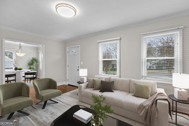 living room with crown molding and hardwood / wood-style floors