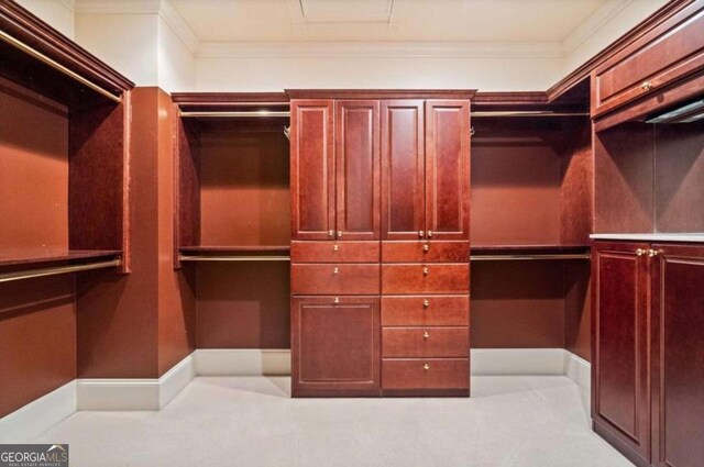 view of spacious closet