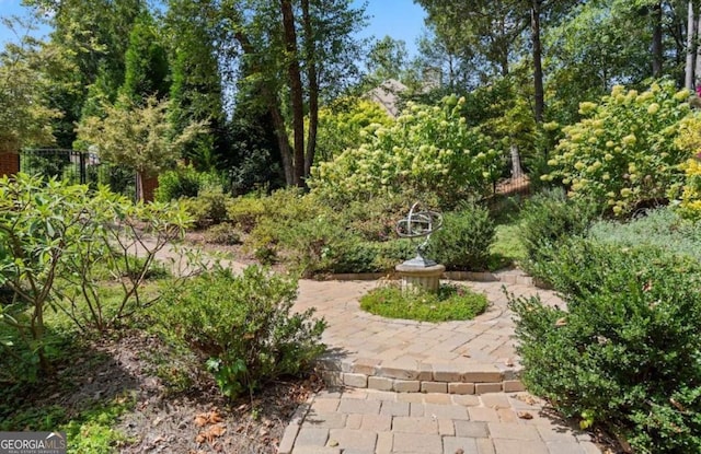 view of yard with a patio