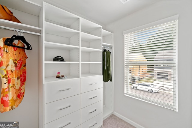 spacious closet featuring light colored carpet