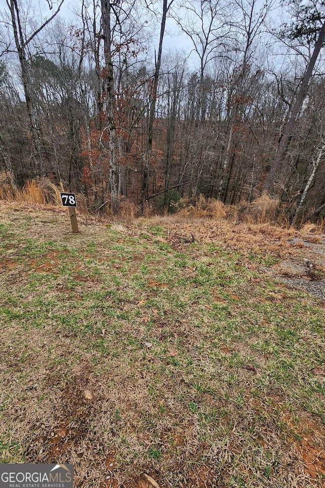 LOT78 Jakes Landing Way Unit 78, Ellijay GA, 30540 land for sale