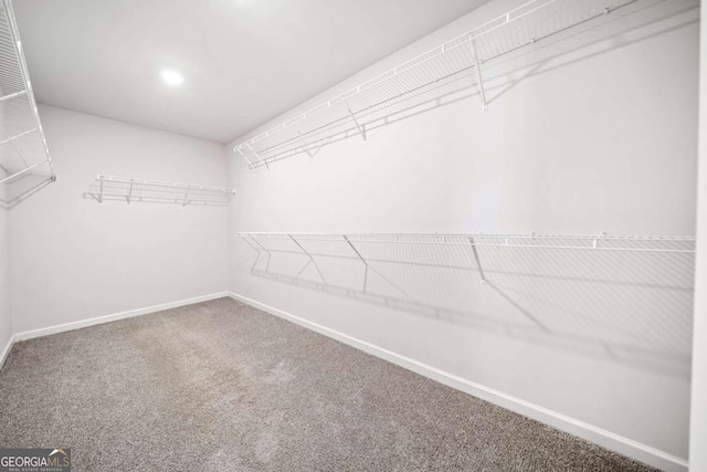 spacious closet featuring carpet