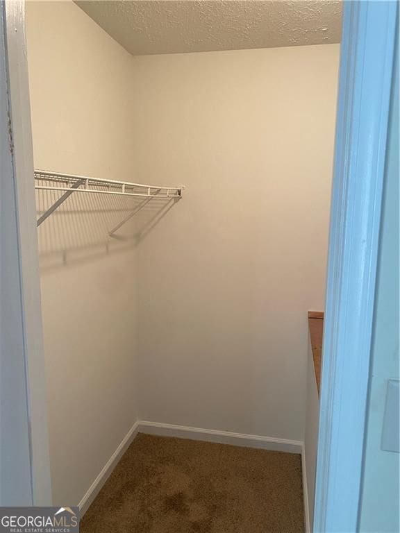 walk in closet with carpet flooring