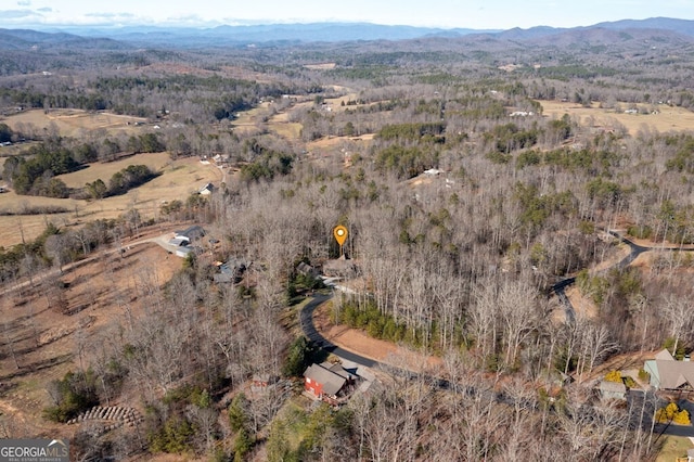 drone / aerial view with a mountain view