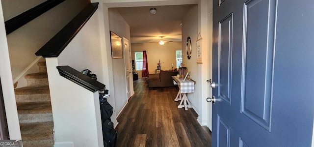 entrance foyer featuring ceiling fan and dark hardwood / wood-style flooring