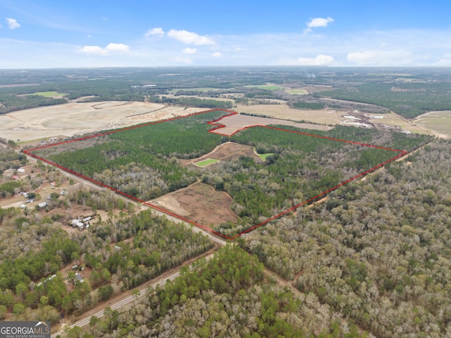 167 Blackberry Rd, Camilla GA, 31730 land for sale