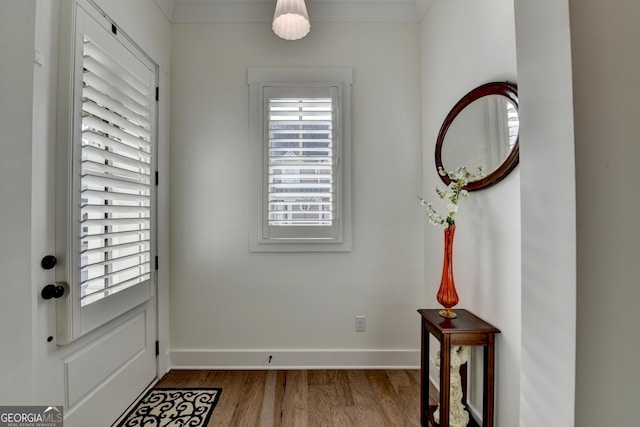 doorway to outside featuring wood-type flooring