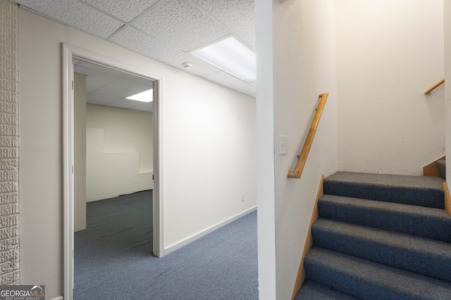 stairs featuring carpet and a paneled ceiling
