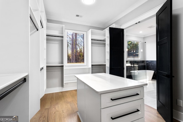 walk in closet featuring visible vents and light wood-style floors