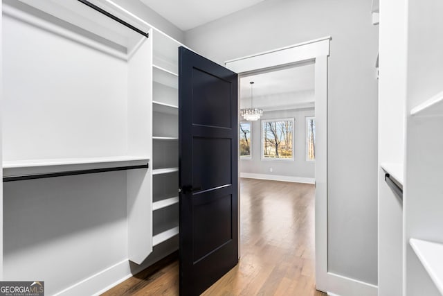 spacious closet with a chandelier and wood finished floors