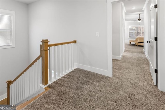 corridor featuring carpet floors