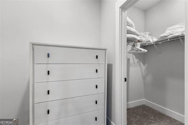 walk in closet featuring carpet floors